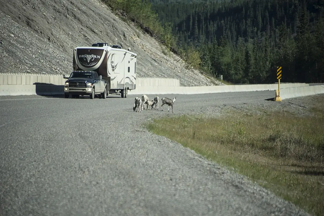 Two-lane Alaska Highway pavement through forest near Fort Nelson, British Columbia
