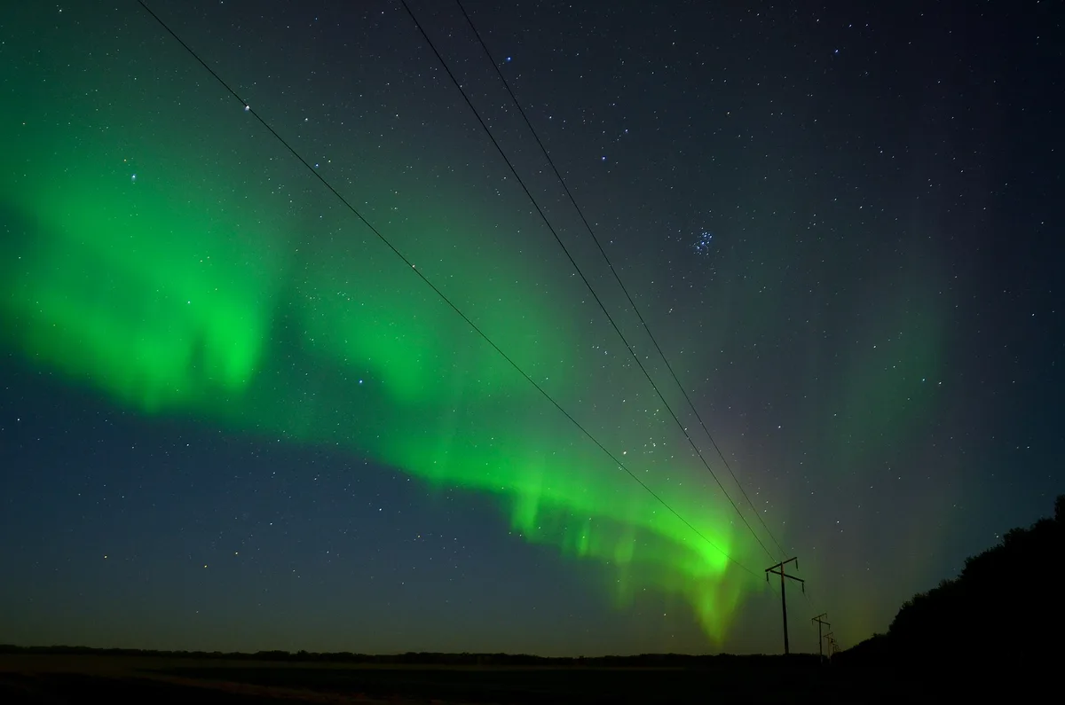 Green curtains of aurora borealis over a dark treeline near High Level in northern Alberta