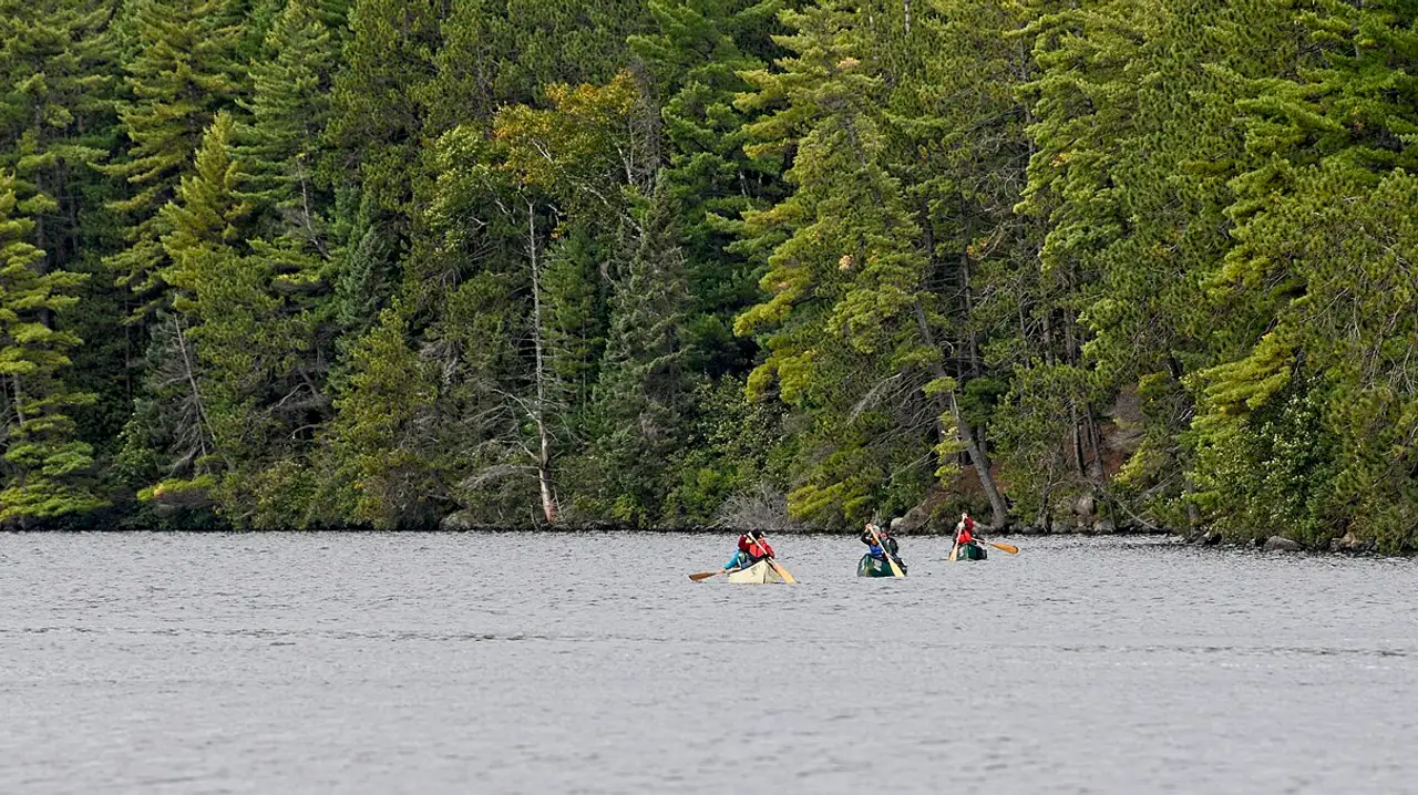 Calm water and forested shoreline on Canoe Lake in Algonquin Provincial Park