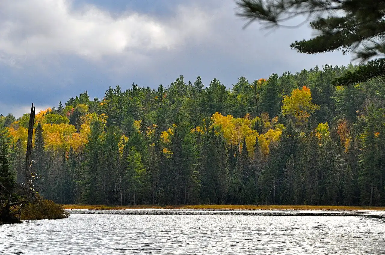 Autumn hardwood forest reflecting in a still Algonquin lake