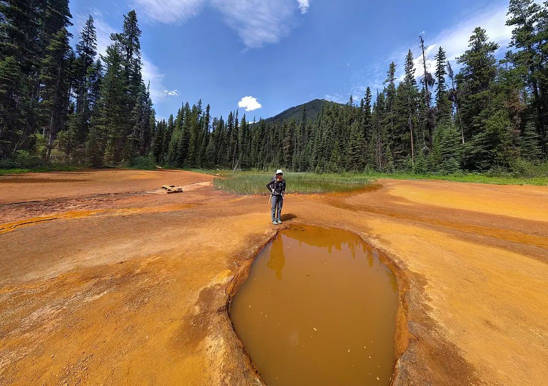 Ochre-coloured mineral pools known as the Paint Pots in Kootenay National Park