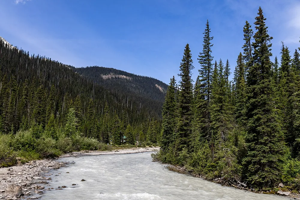 A glacial meltwater creek running over rocks below Takakkaw Falls in Yoho National Park