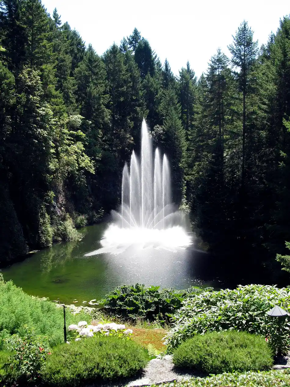 Water jets rising from the Ross Fountain at The Butchart Gardens