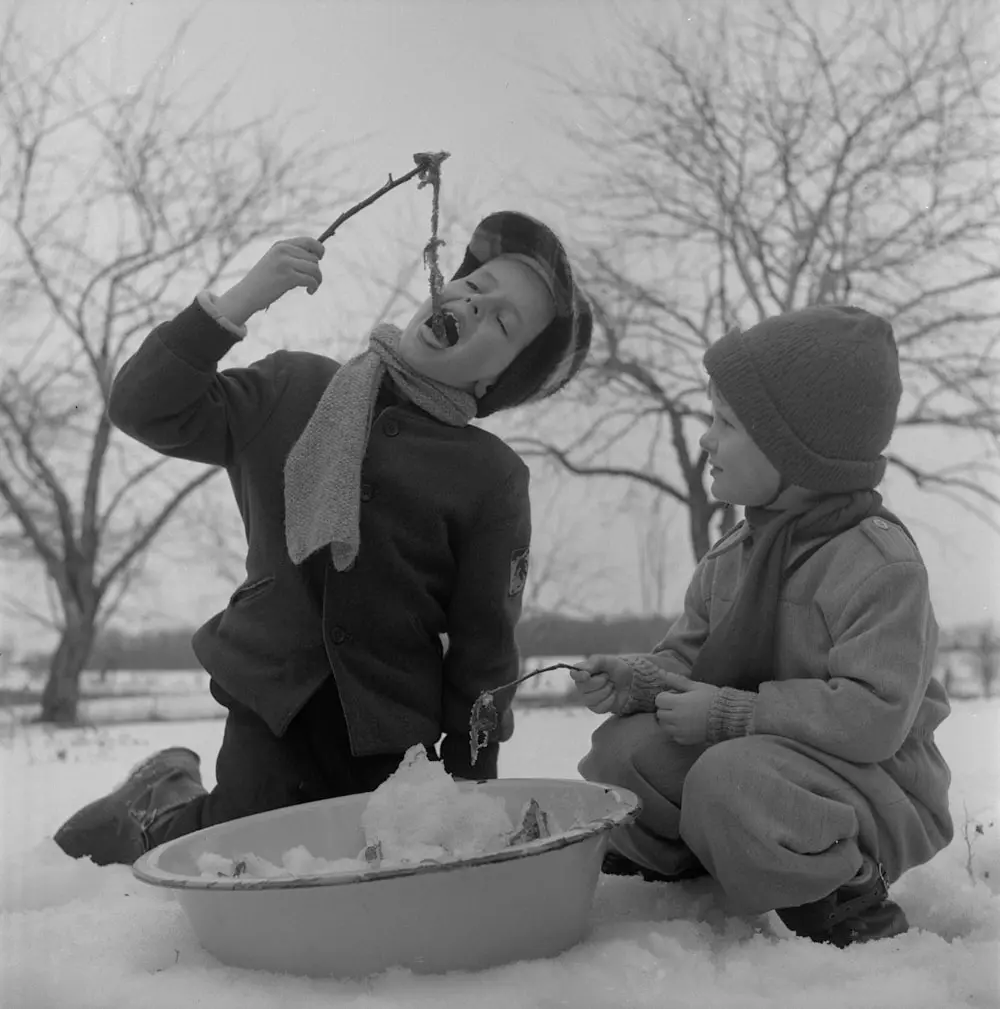 Two children in 1956 kneeling in the snow eating maple taffy rolled onto sticks, bare trees behind
