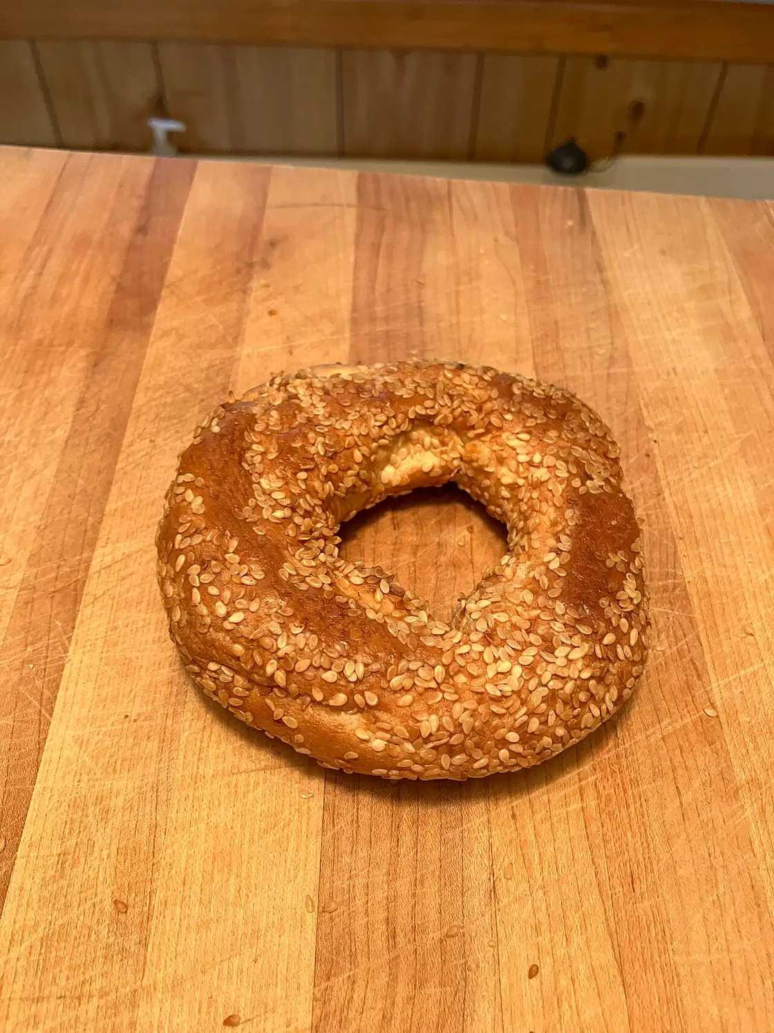 A sesame Montreal bagel held up, denser and thinner than a New York bagel