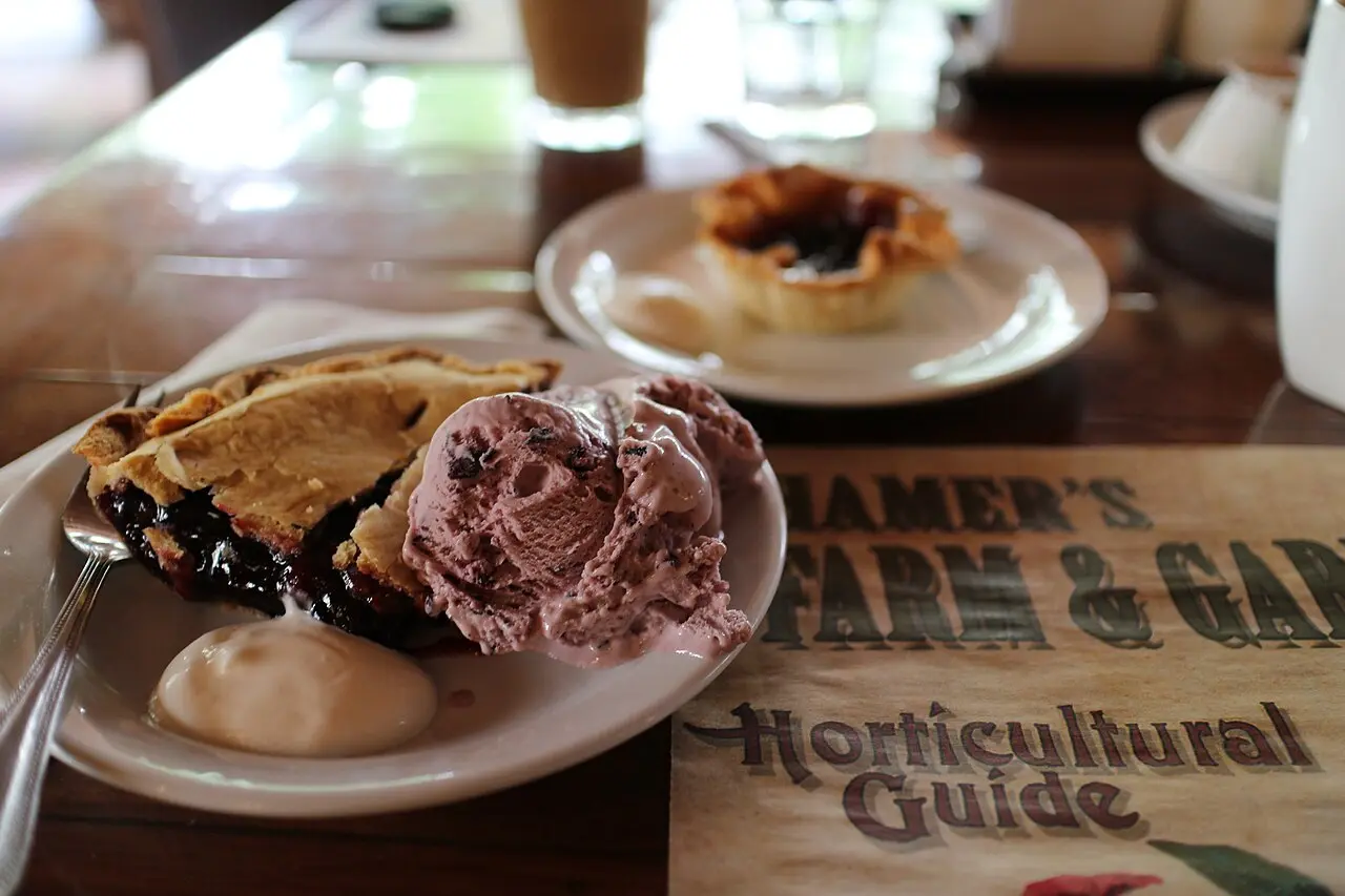 A saskatoon berry pie and a saskatoon butter tart on a plate