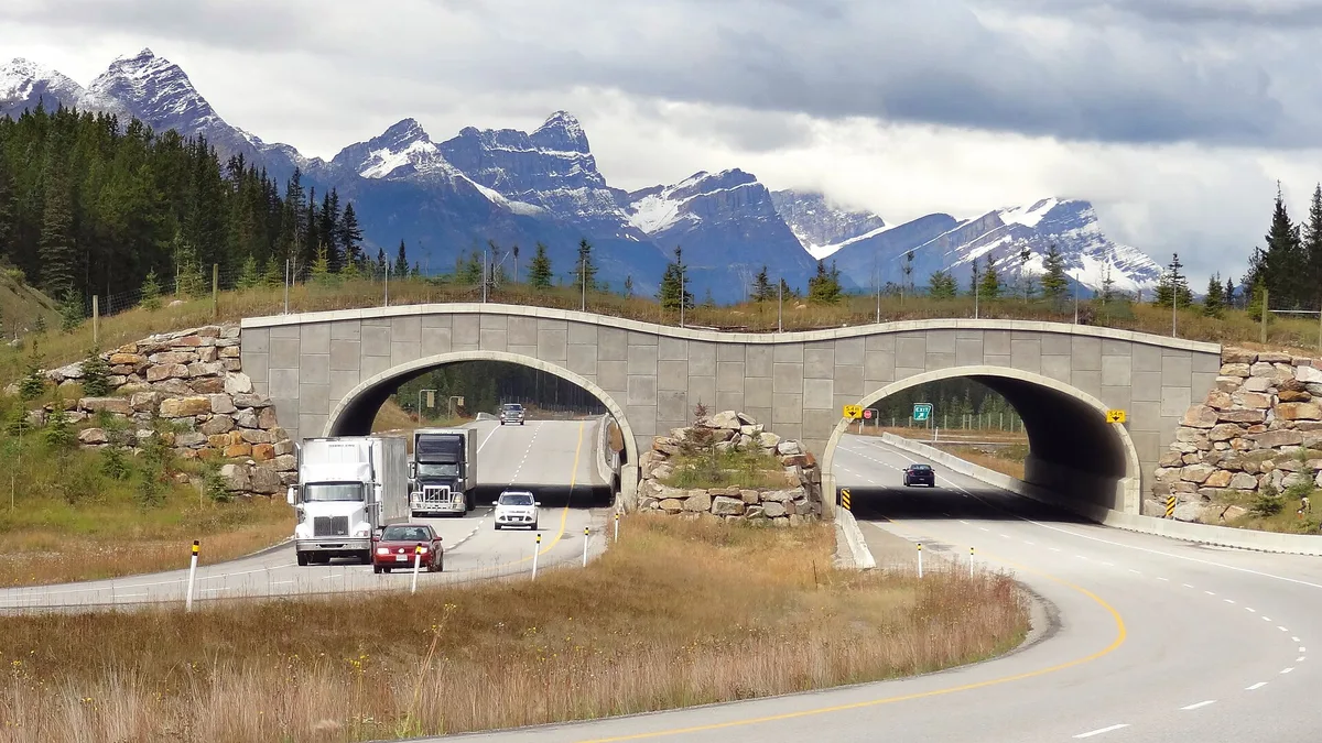 A grass-covered wildlife overpass arching over the Trans-Canada Highway between Banff and Lake Louise, forested mountains behind
