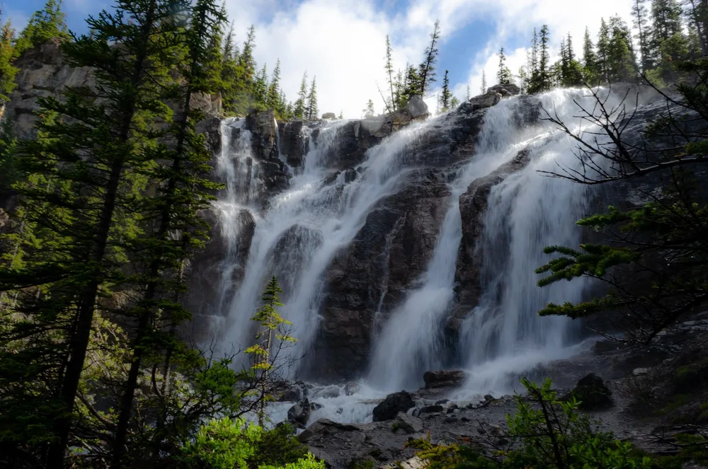 Upper Tangle Creek Falls dropping down a staircase of mossy rock ledges beside the Icefields Parkway
