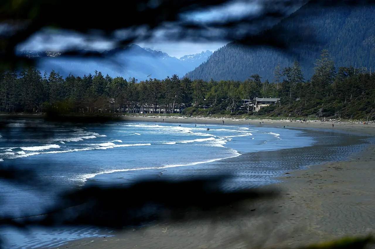 Wide sandy Long Beach near Tofino with Pacific surf and forest behind