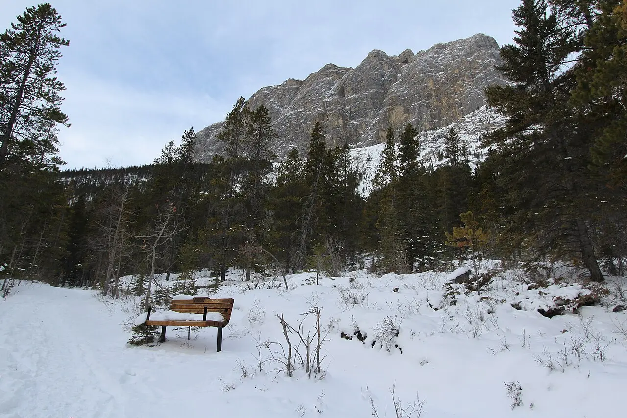Turquoise Grassi Lakes below cliff bands and spruce forest near Canmore