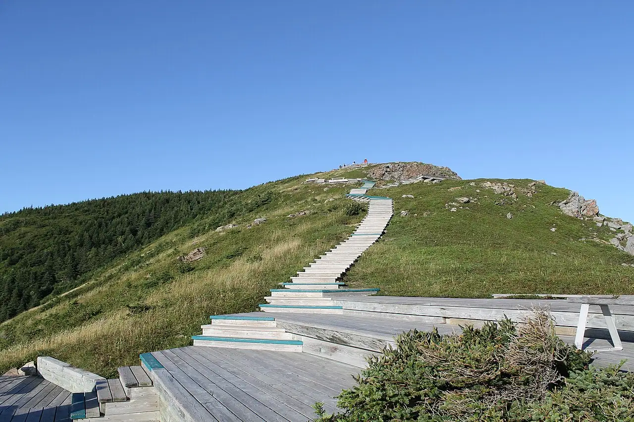 Wooden staircase descending the Skyline Trail headland boardwalk