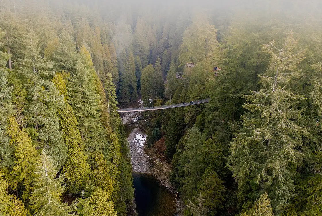 People walking across the swaying planks of the Capilano Suspension Bridge with the rainforest canyon below
