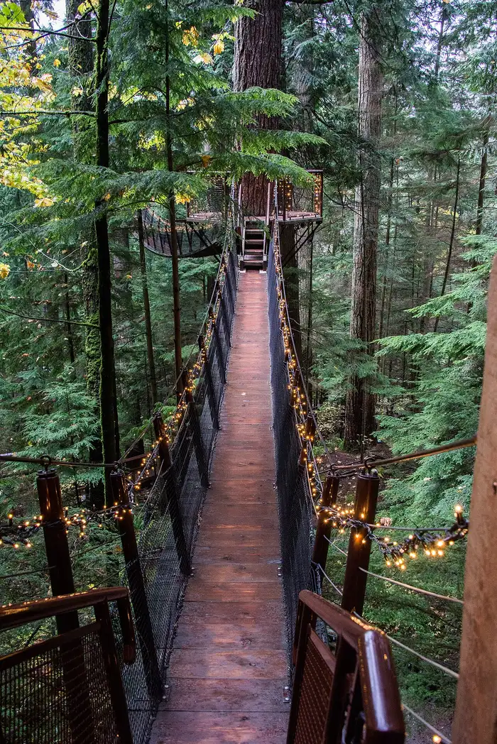 The Capilano Suspension Bridge in heavy rain with wet planks and mist in the canyon