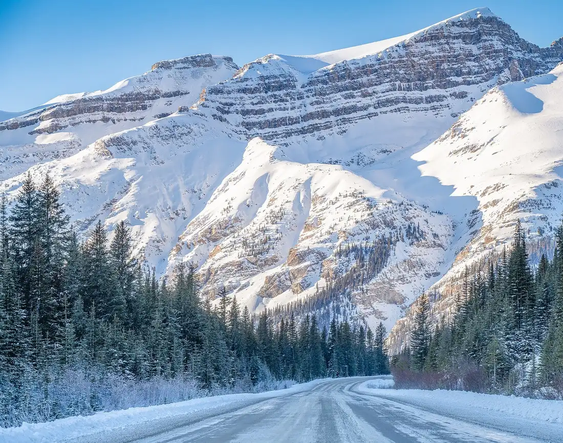A snow-covered stretch of the Icefields Parkway running toward the sunlit, snowy face of Mount Jimmy Simpson, with spruce forest on both sides