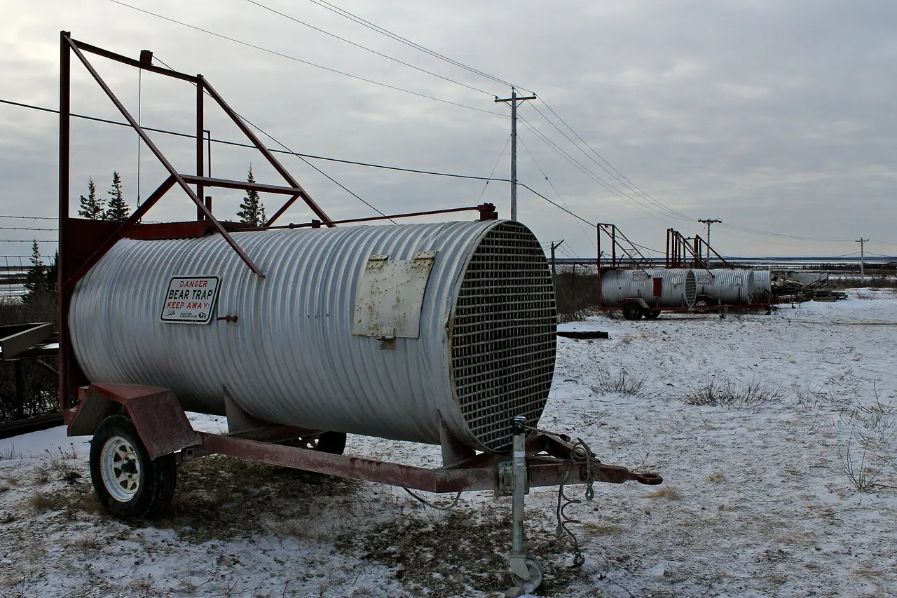 Two culvert-style bear traps on trailers parked in the snow at Churchill with a Danger Bear Trap Keep Away sign