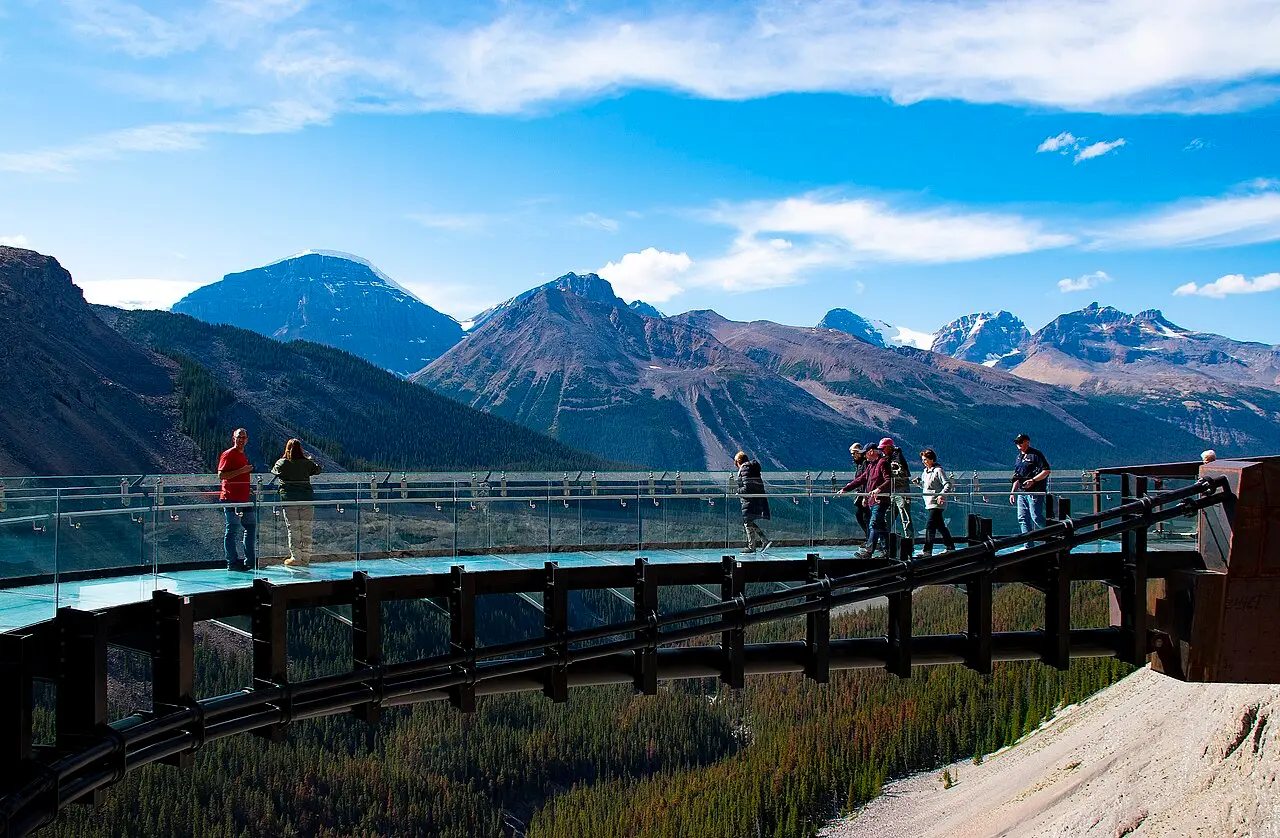 Columbia Icefield Skywalk cantilevered over the forested Sunwapta River valley