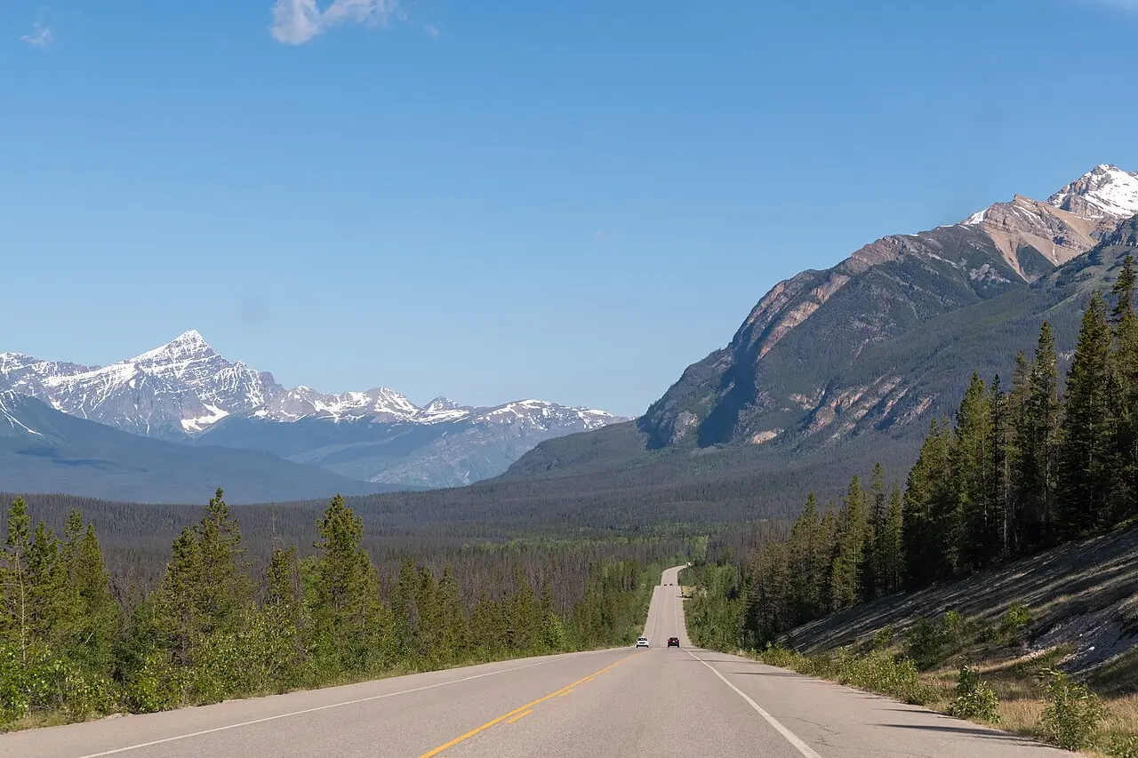 A paved mountain highway curving through forested foothills near Jasper in western Alberta