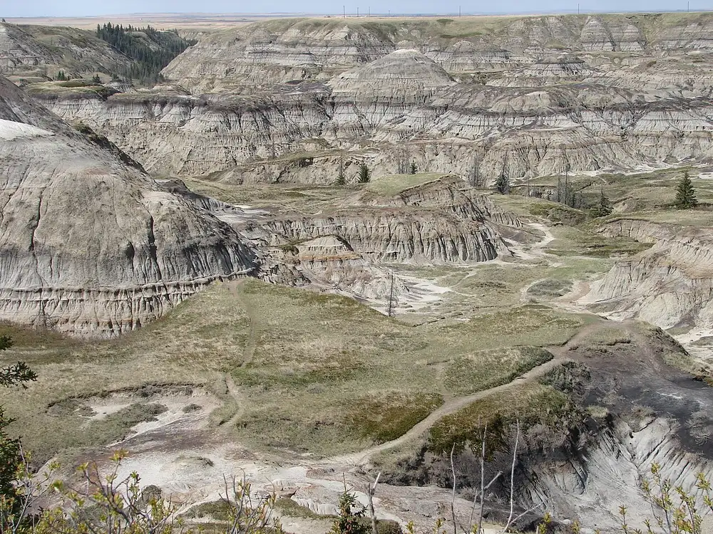 Layered badlands cliffs and eroded gullies at Horseshoe Canyon near Drumheller, Alberta