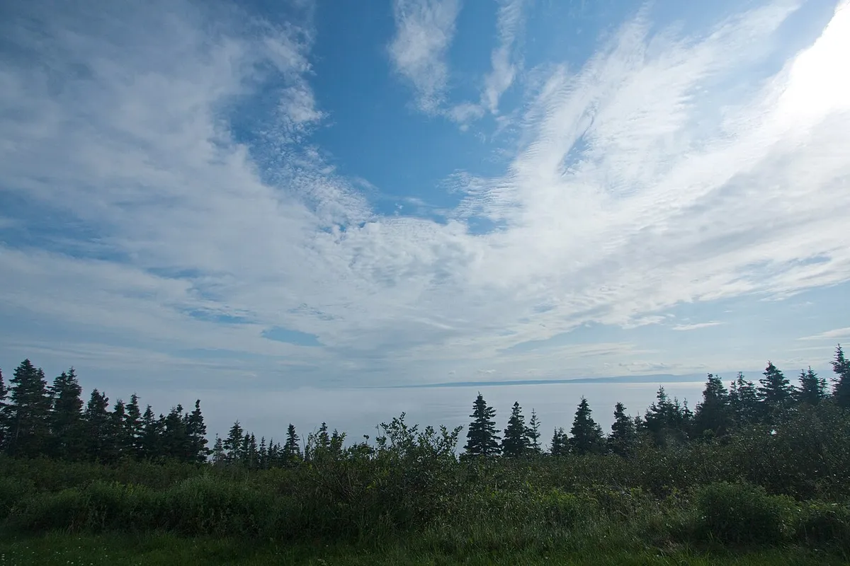 Forest and open water from a lookout on the Forillon peninsula toward the Gulf of St. Lawrence