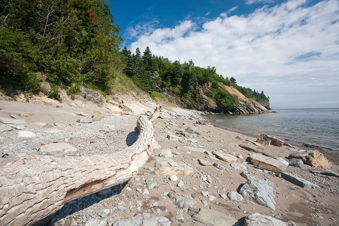 Sedimentary sea cliffs and a pebble beach with driftwood in Forillon National Park