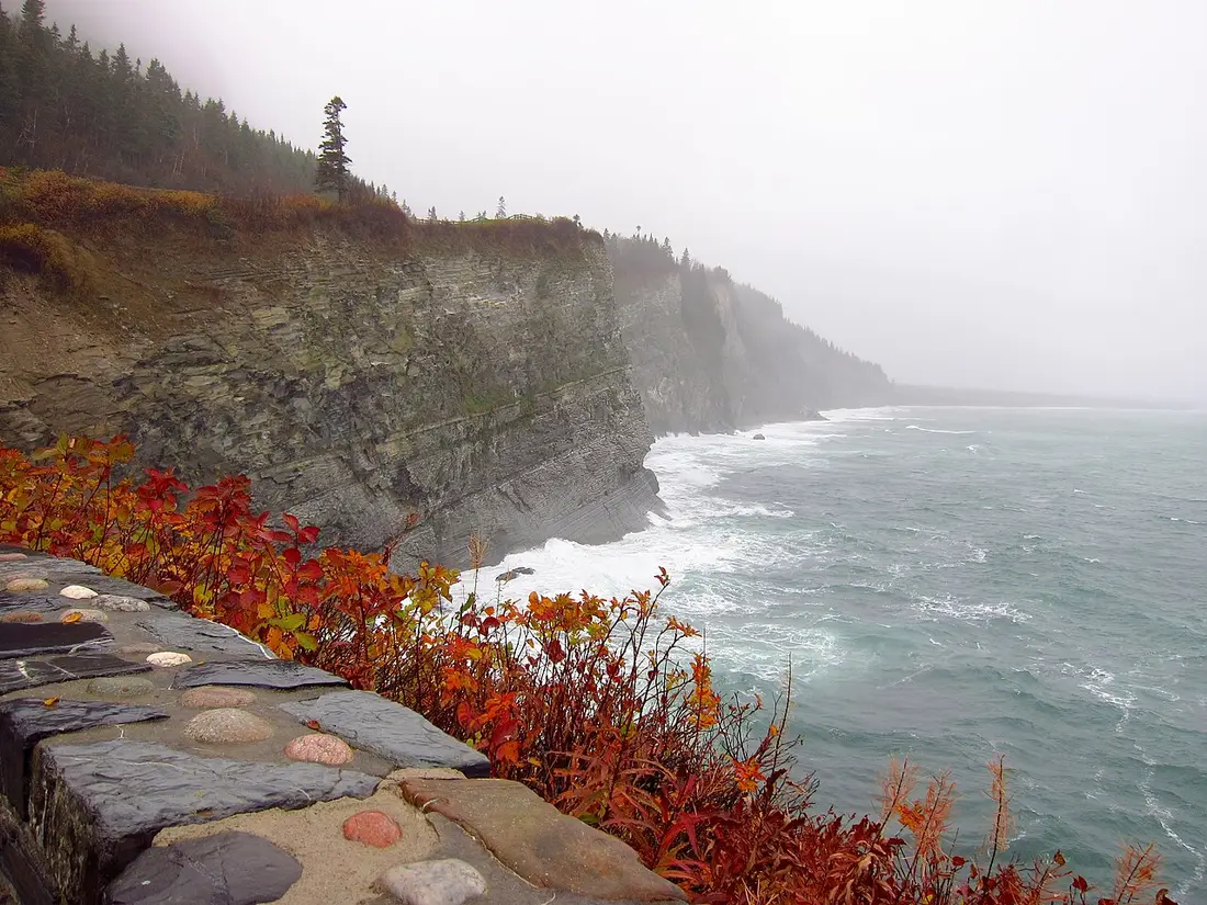 Layered sea cliffs and forest along the Forillon coast in mist, with autumn colour in the foreground