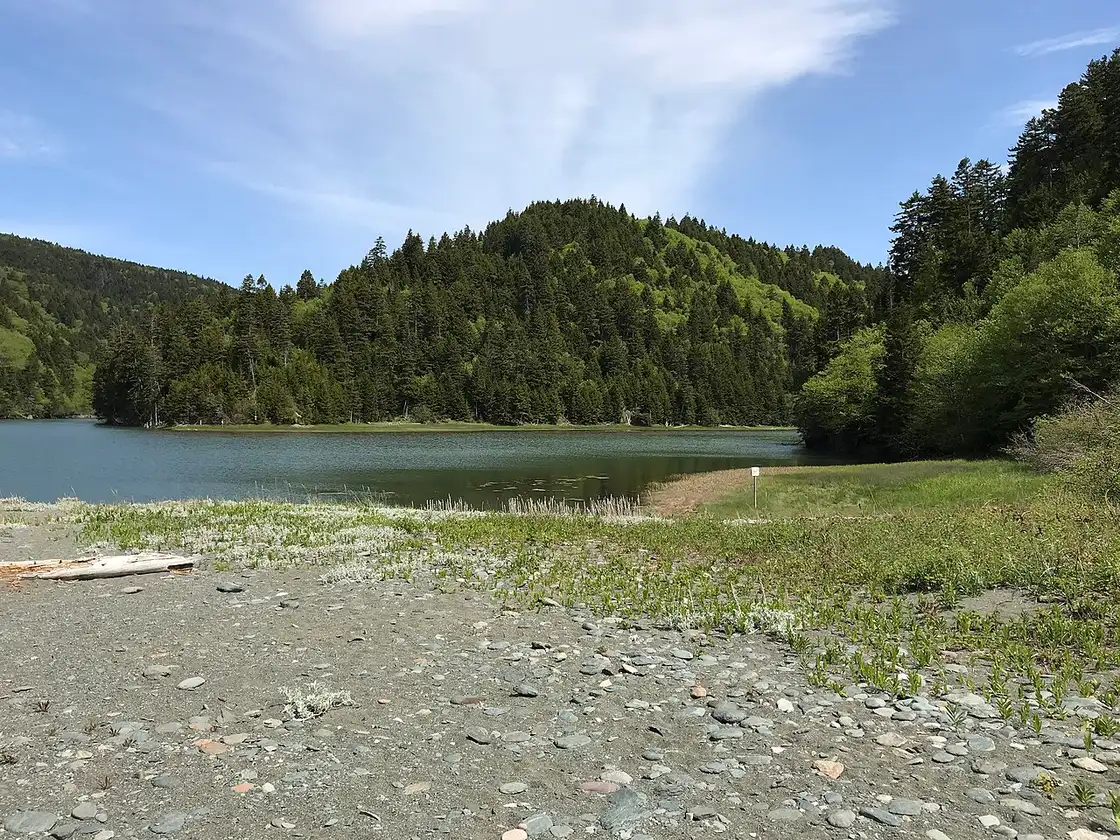 A gravel lakeshore backcountry campsite surrounded by forest in Fundy National Park