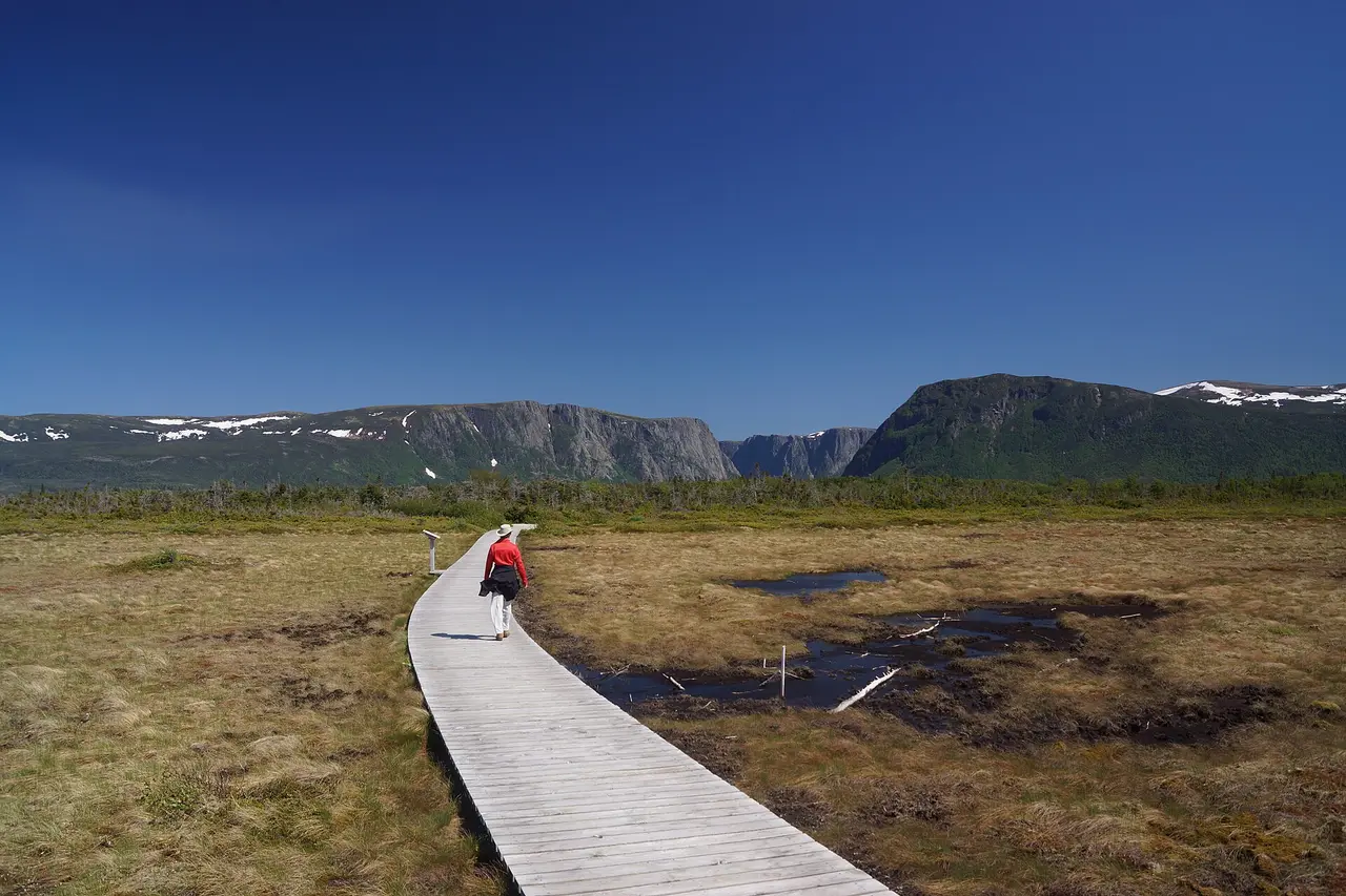 A gravel path and boardwalk crossing open bogland toward the cliffs of Western Brook Pond