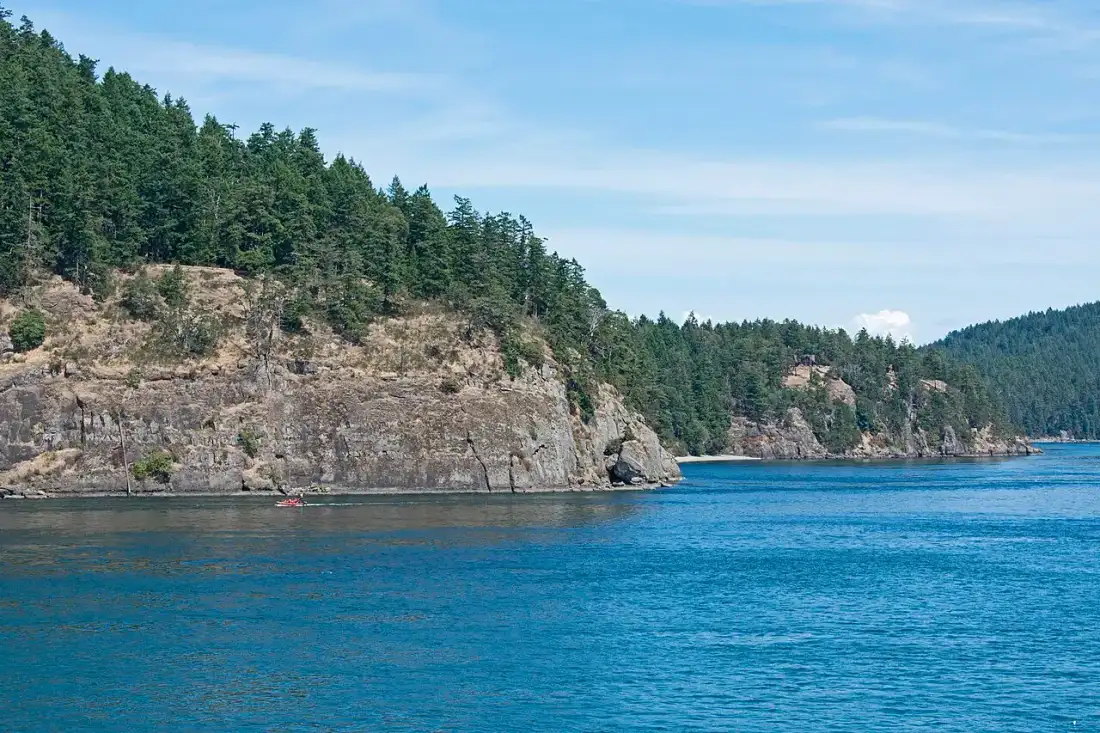 Forest shoreline and water in Active Pass near Galiano Island