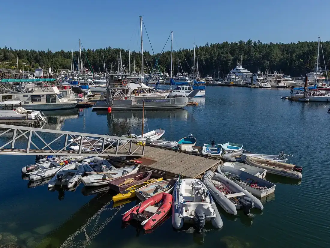 Boats moored in Ganges Harbour on Salt Spring Island