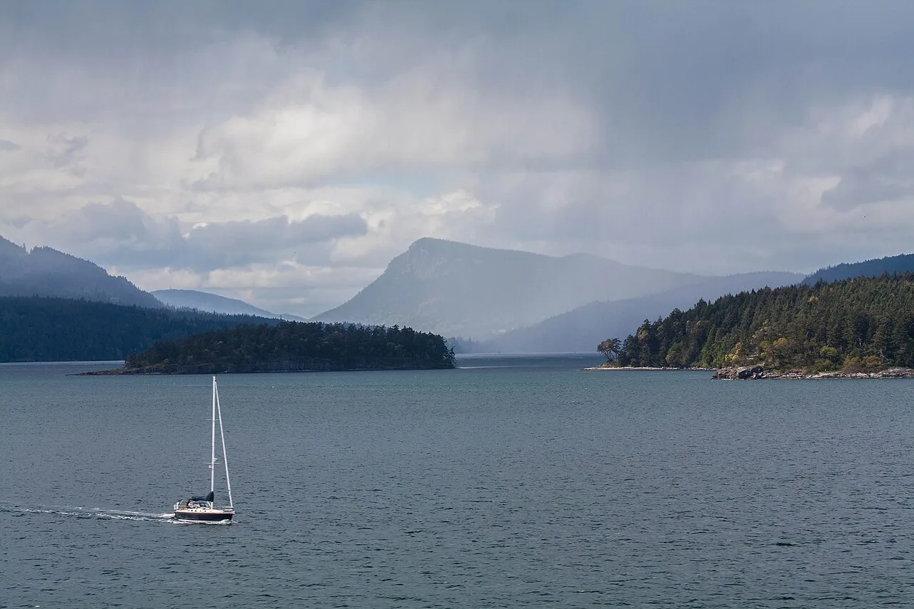 Forest and shoreline on Pender Island in the Gulf Islands