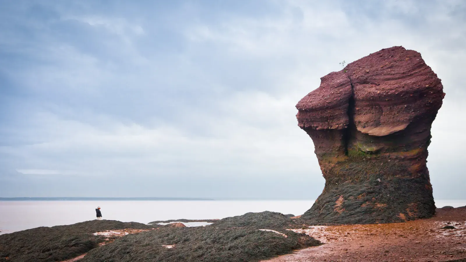 Flowerpot sea stacks at Hopewell Rocks with people walking the exposed red ocean floor at low tide