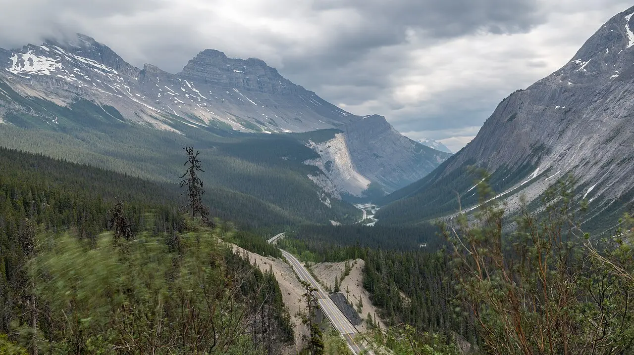 The Icefields Parkway seen from a high viewpoint, curving down a green valley between grey limestone peaks