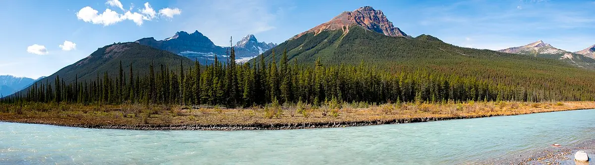 The wide Sunwapta river valley in Jasper National Park with braided channels, forest and mountain walls on both sides