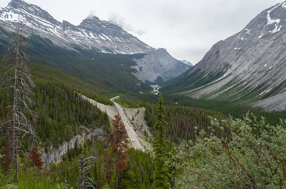 The Icefields Parkway seen from the slopes of Parker Ridge, a thin ribbon of road in a broad glacial valley