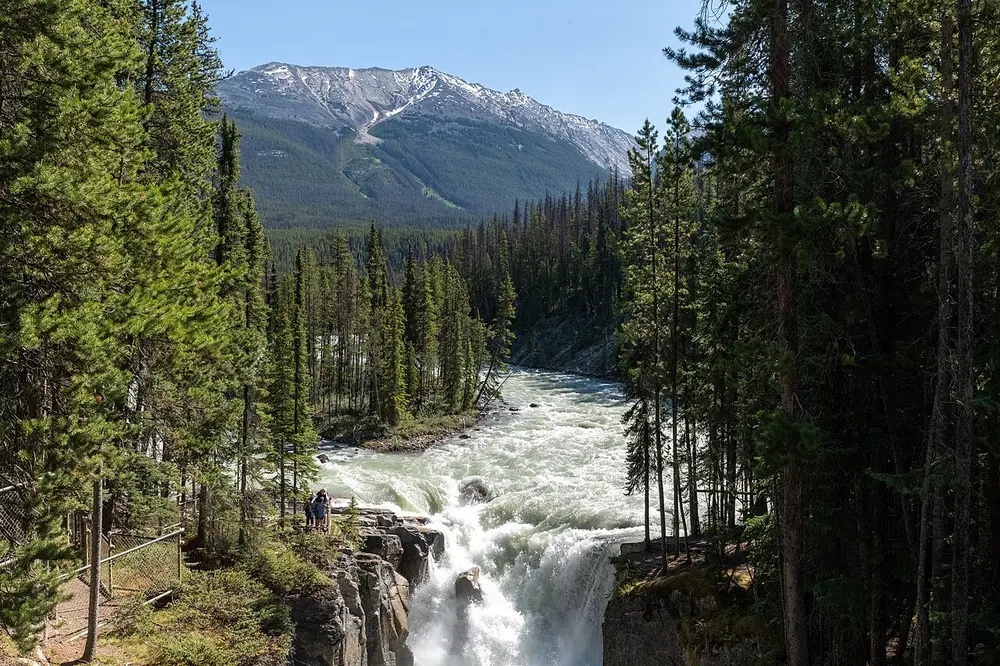 The Sunwapta River dropping into a gorge with forested slopes and a snow-streaked mountain behind