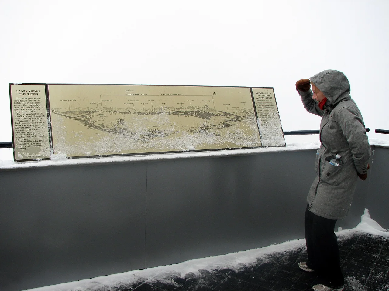 A visitor in a hooded winter coat at the upper station lookout, snow on the railing and nothing but white cloud beyond the panorama board