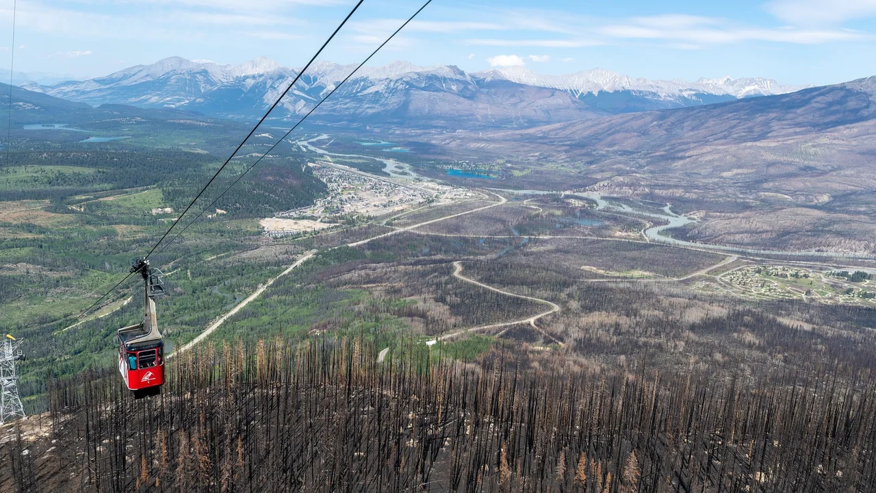A red Jasper SkyTram cabin above fire-killed forest on Whistlers Mountain, with the Jasper townsite and the Athabasca River in the valley below