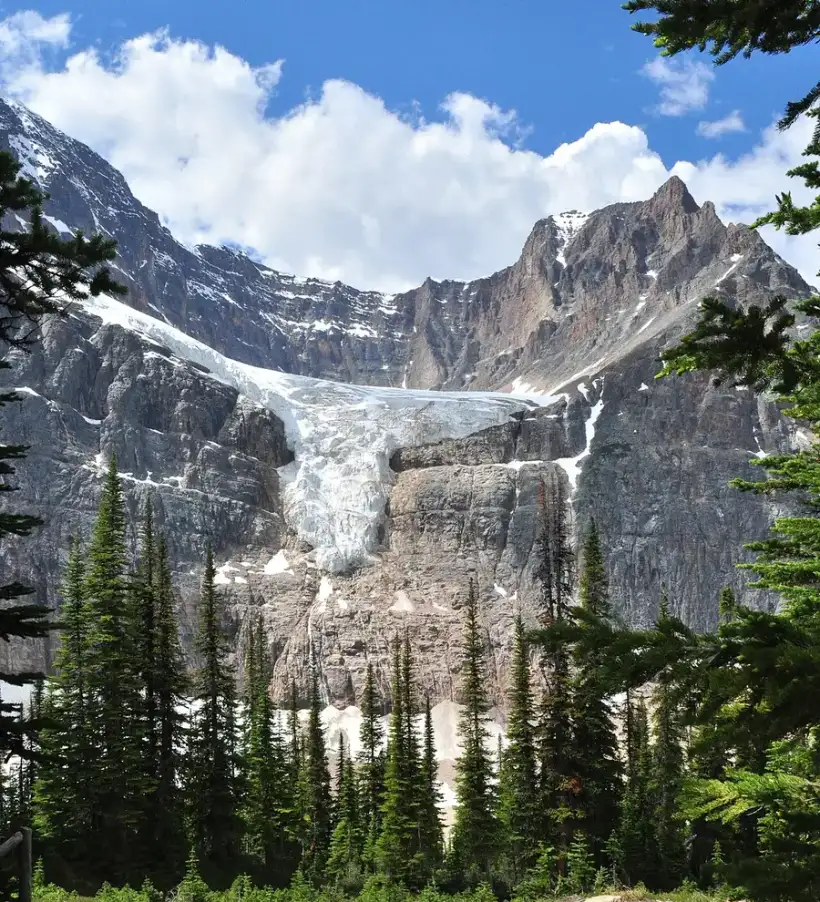 The Angel Glacier hanging in a rock bowl high on the cliffs of Mount Edith Cavell above a spruce forest