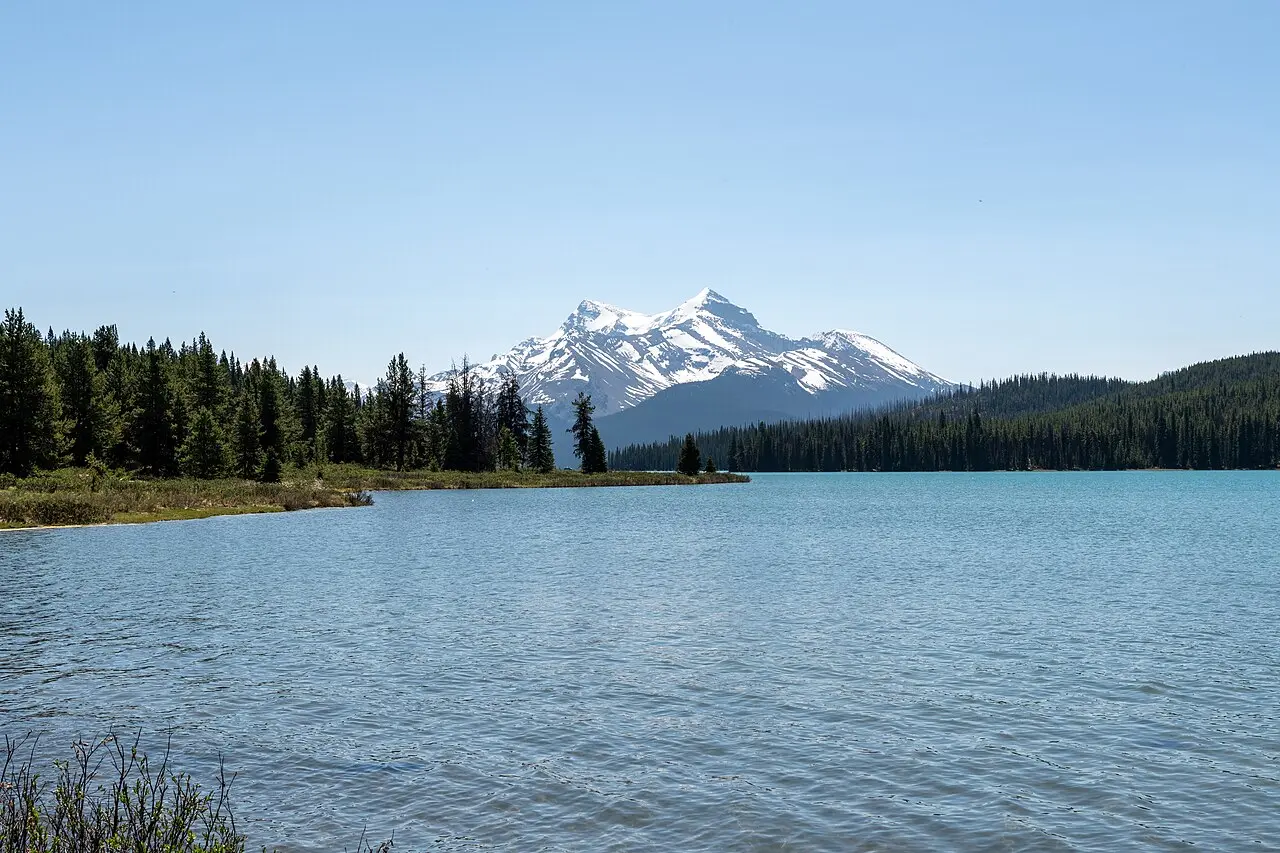The north end of Maligne Lake with pale blue water, spruce forest along the shore and a snow-capped peak at the head of the valley