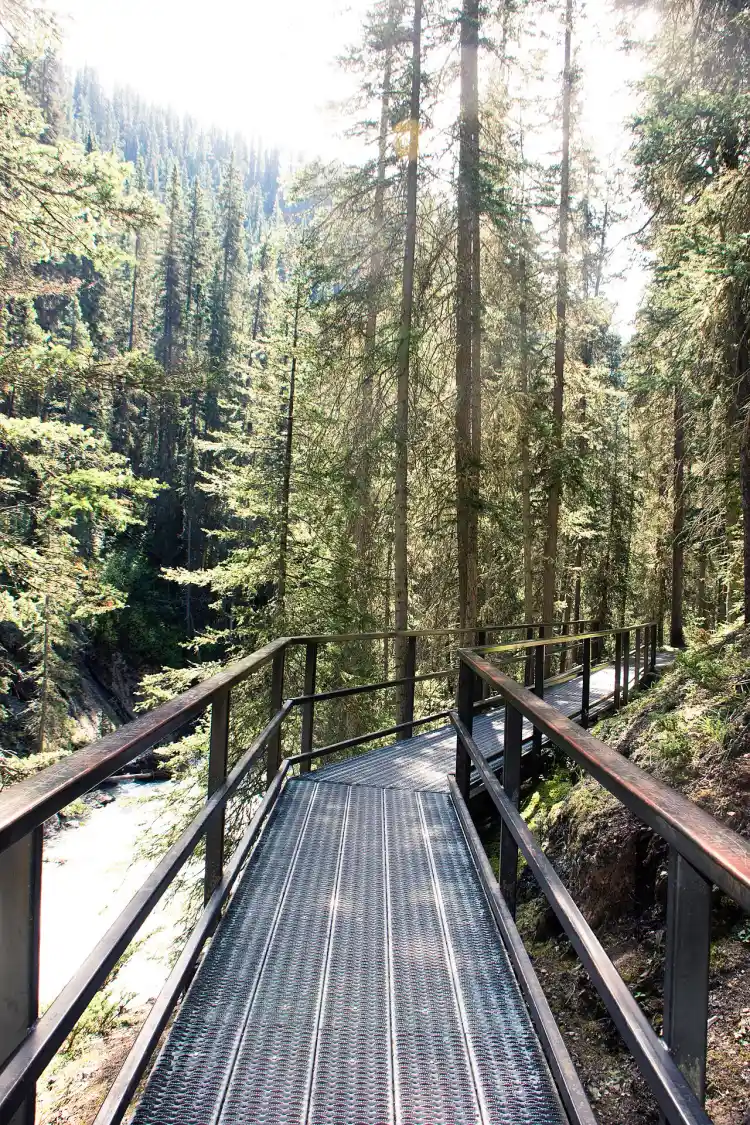 A steel catwalk bolted to the canyon wall leading through the forest at Johnston Canyon