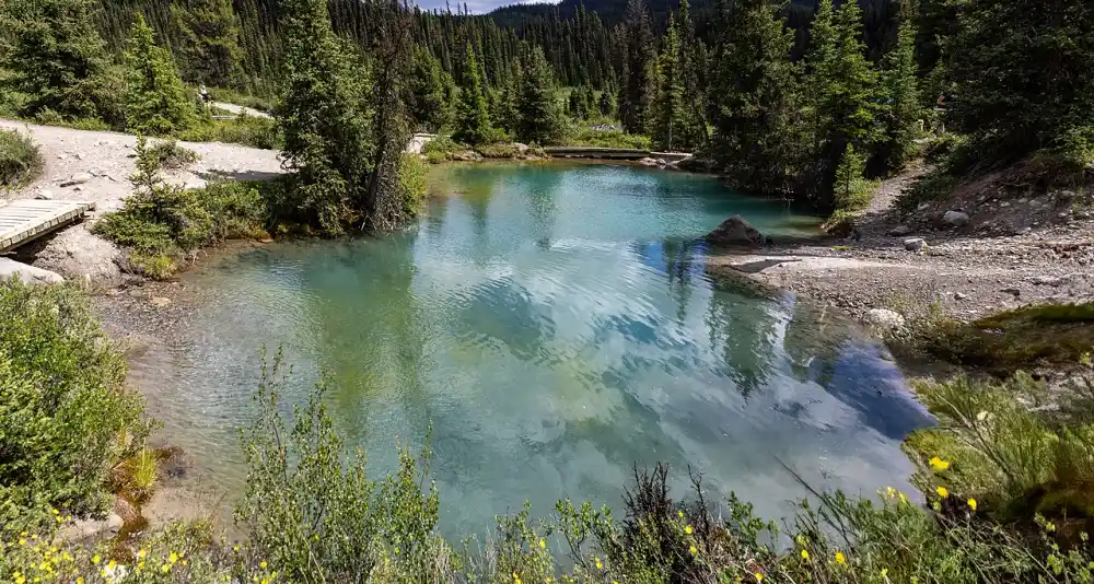 A turquoise mineral spring pool at the Ink Pots meadow beyond Johnston Canyon's Upper Falls