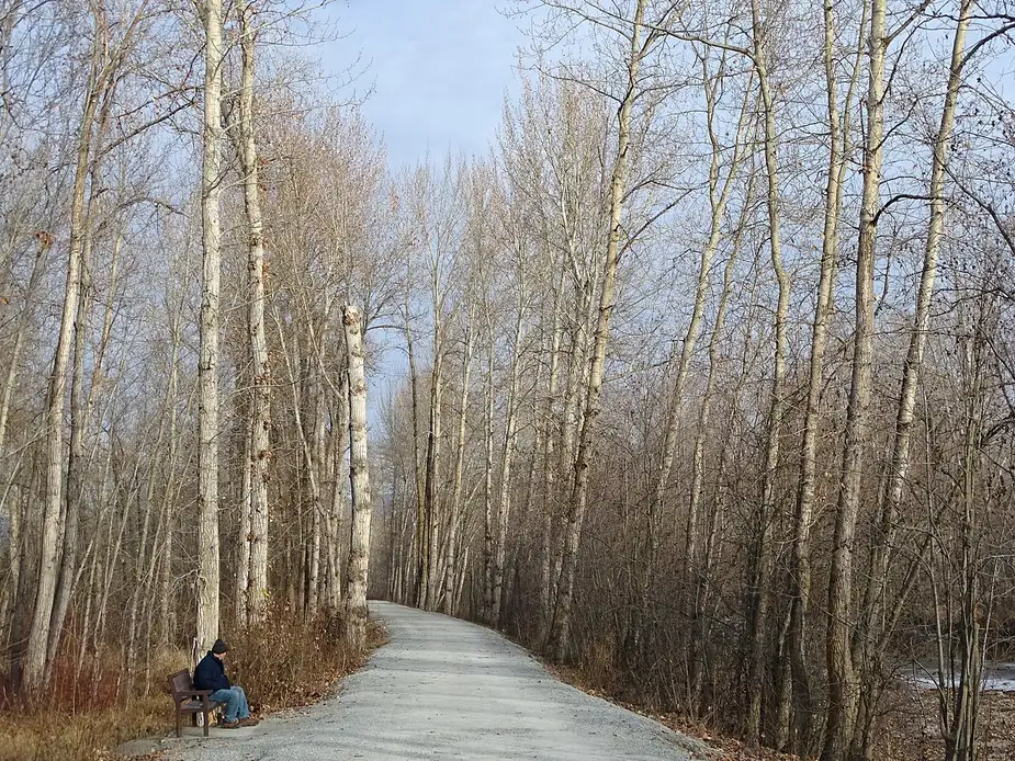 A path along Mission Creek Greenway in Kelowna