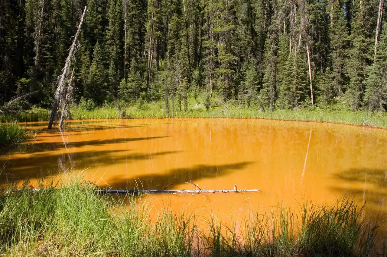 Rust-orange ochre earth and mineral pools at the Paint Pots in Kootenay National Park