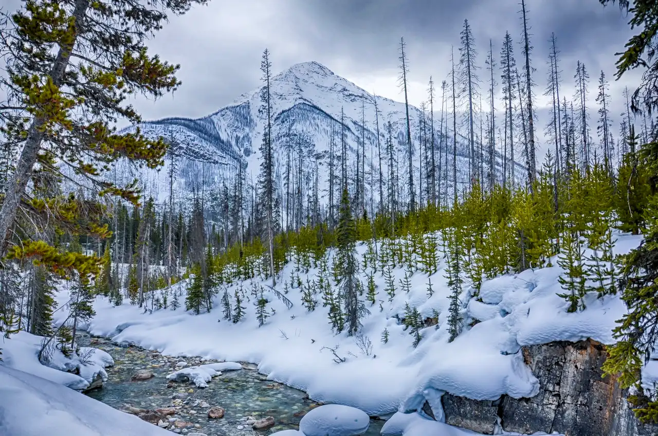 A hanging glacier and waterfalls above the alpine basin on the Stanley Glacier trail in Kootenay