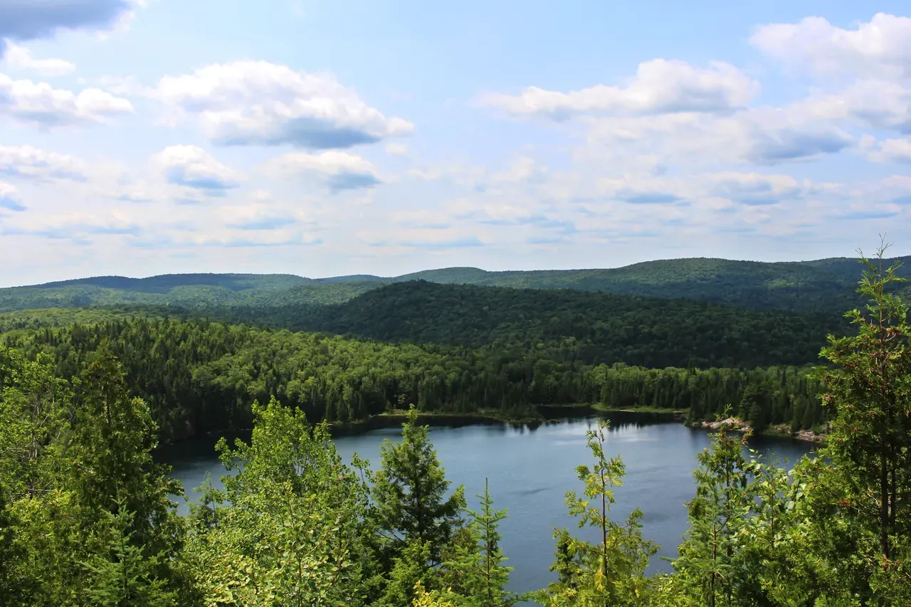 Sunlit hiking trail through mixed forest in La Mauricie National Park
