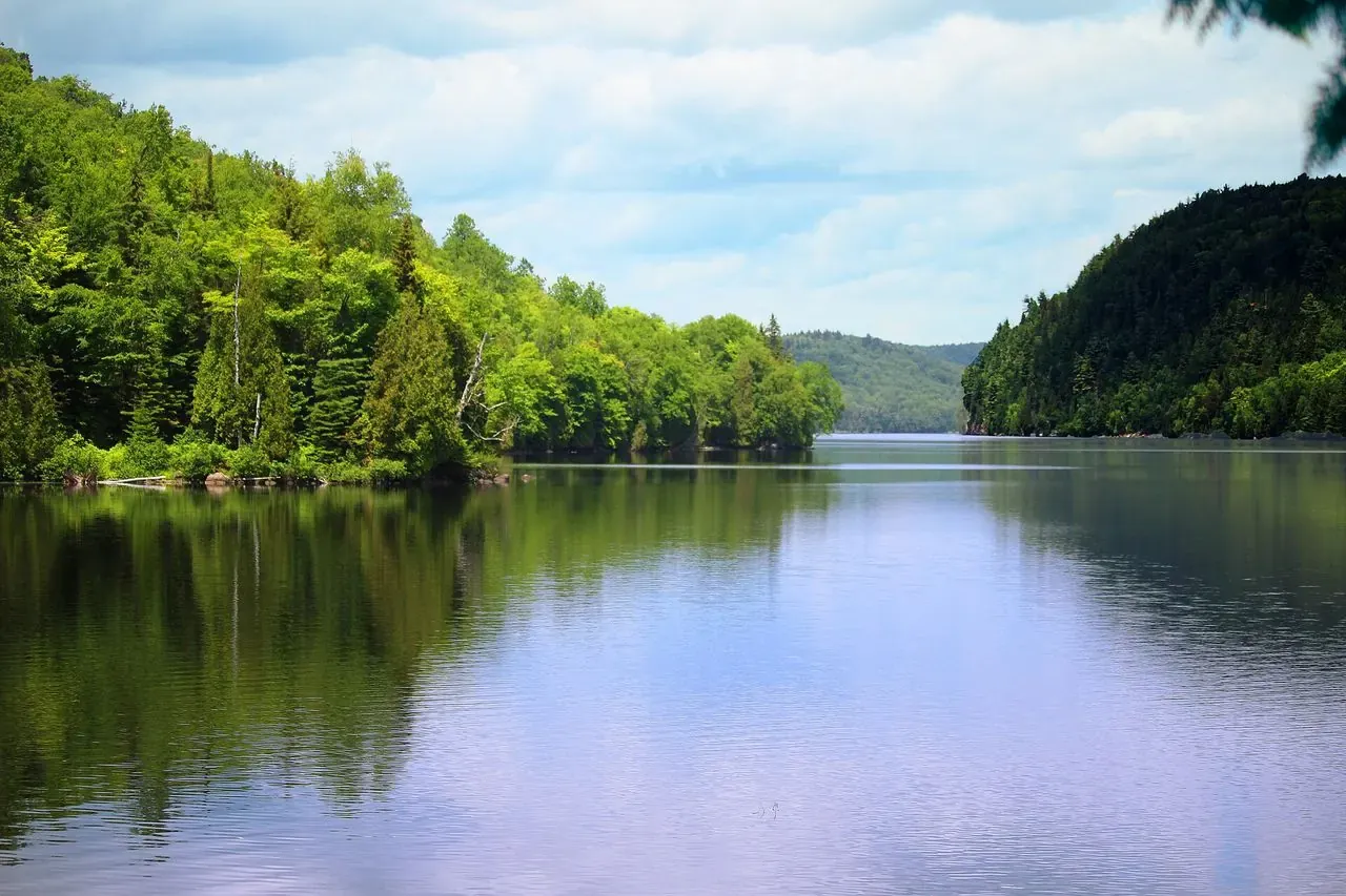 Calm lake shore at Lac à la Pêche in La Mauricie National Park