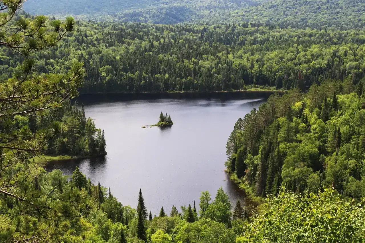 Canoe on a calm lake in La Mauricie National Park seen from above