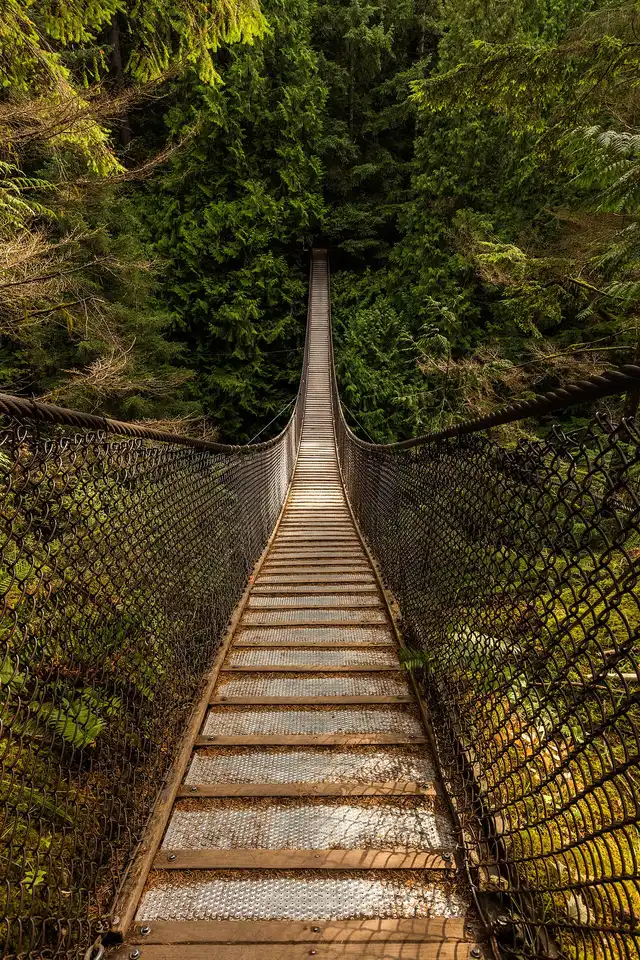 Looking down from the Lynn Canyon suspension bridge to the creek and forested canyon walls