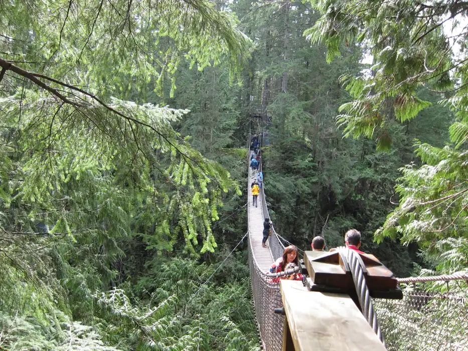 The Lynn Canyon suspension bridge seen from the canyon side with forest closing in on both anchors