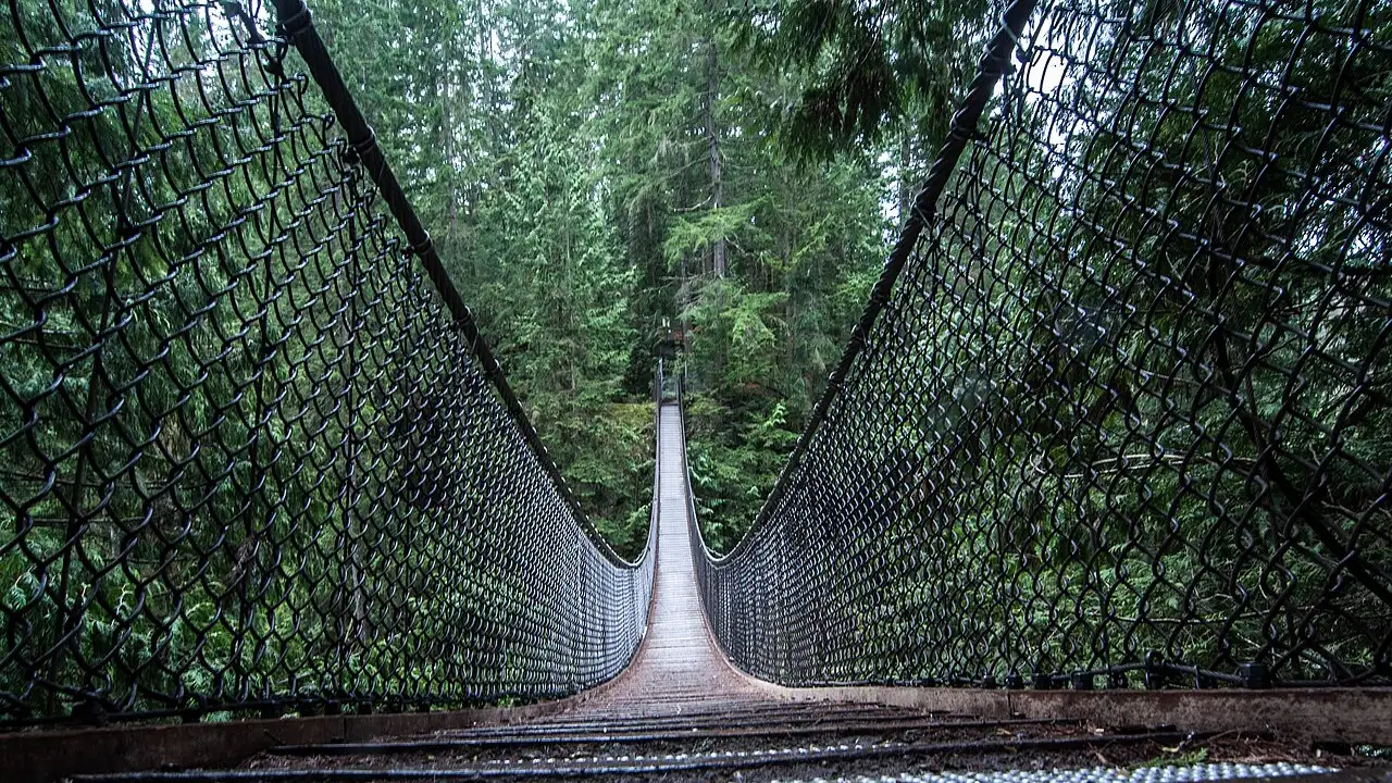 The Lynn Canyon suspension bridge spanning a forested gorge with people crossing the planks
